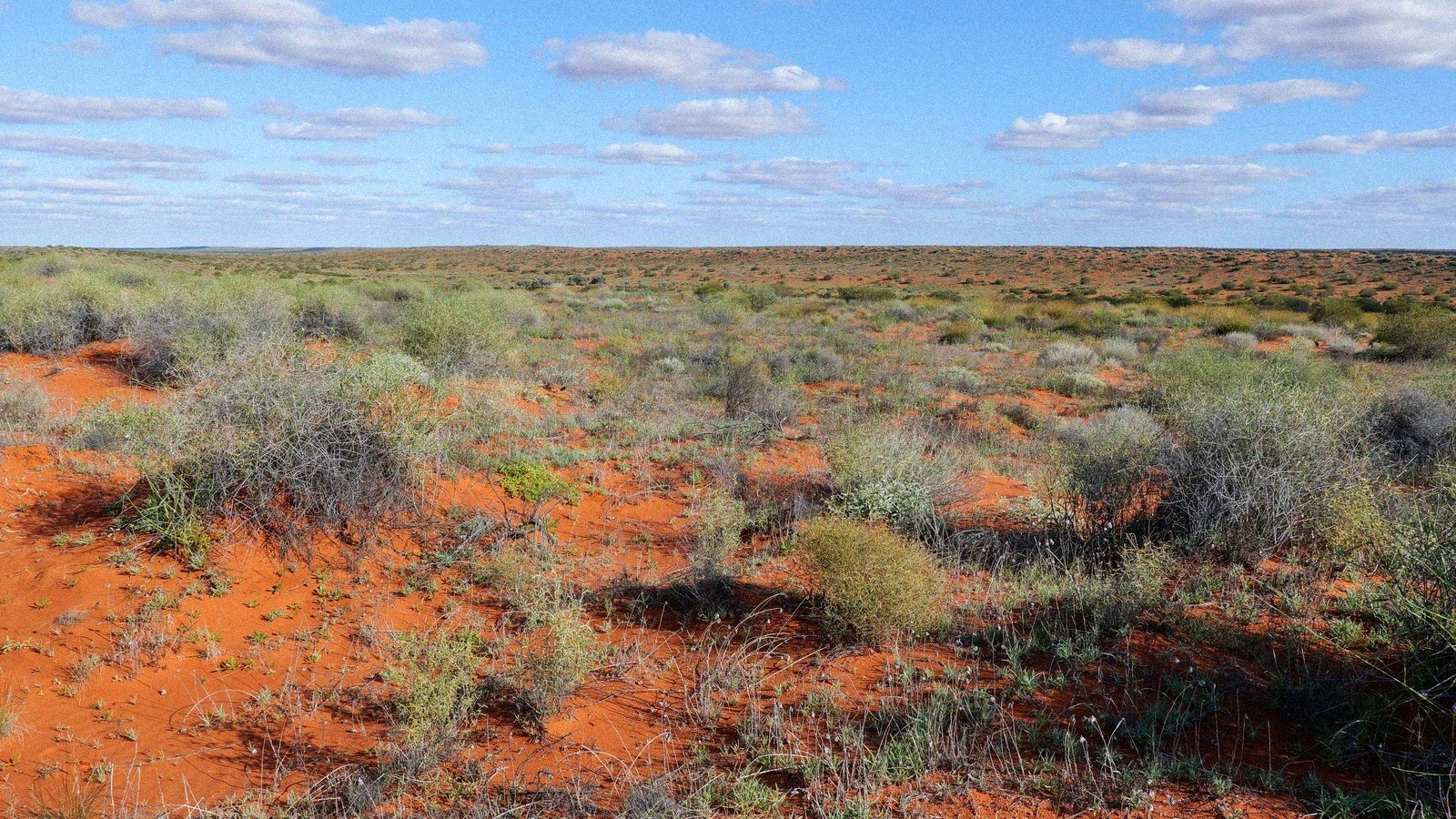 Beauval ouvre les terres rouges pourquoi cette nouveaute