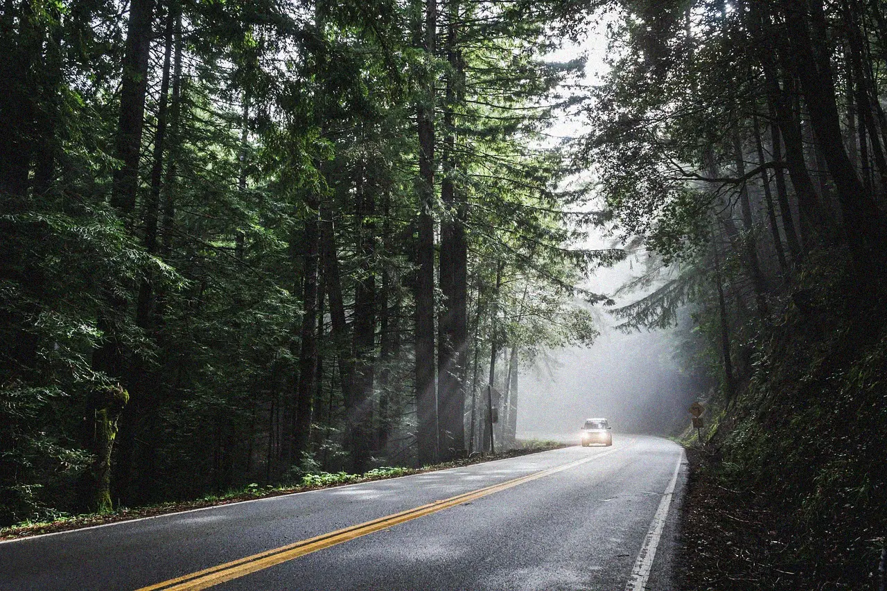 Pourquoi verifier ses pneus avant de prendre la route des