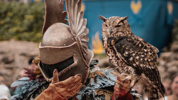 Puy du Fou en octobre 2026&nbsp;: La Frairie de la Toussaint est incluse dans le billet