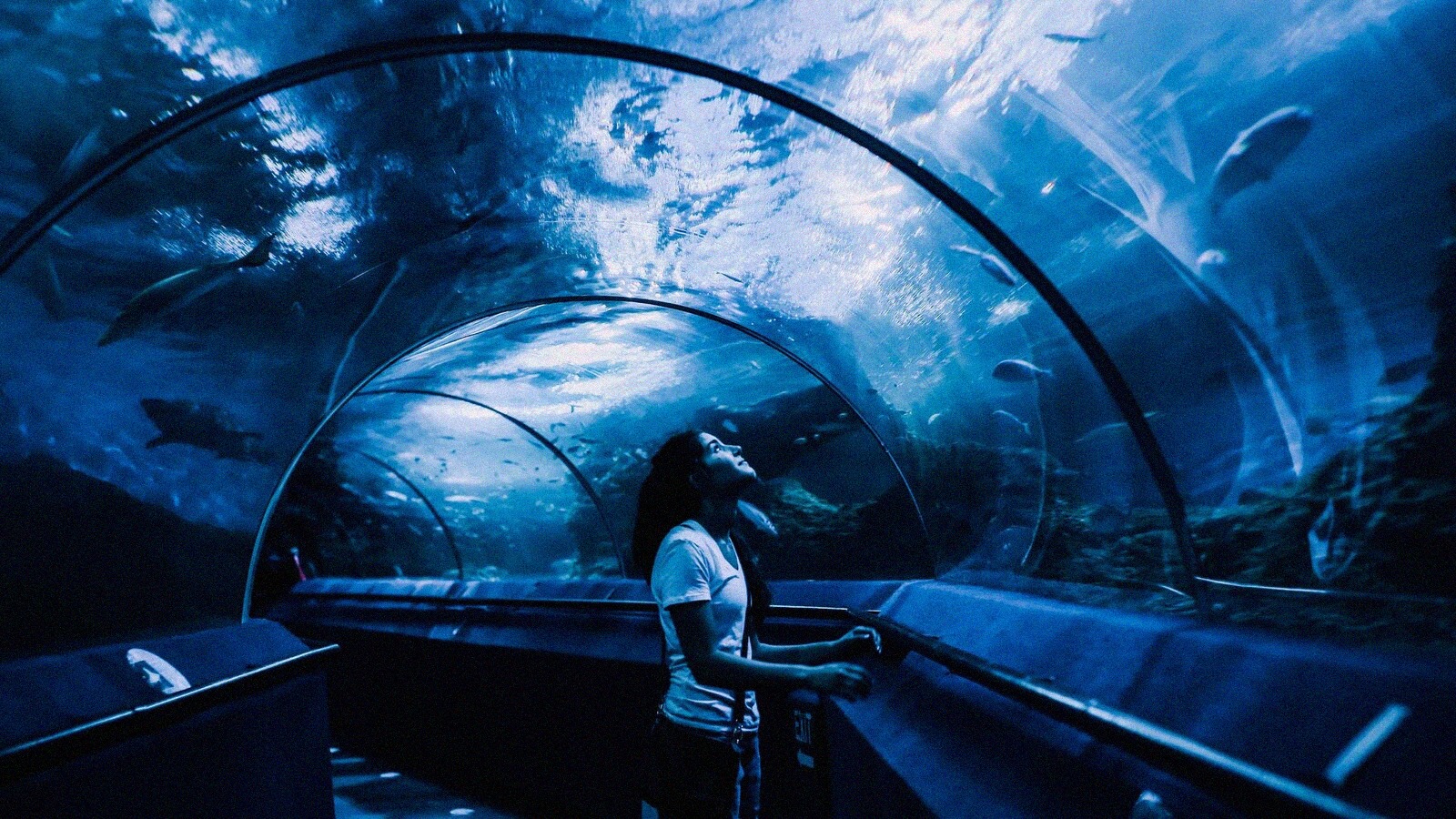 Aquarium de paris le 15 septembre 2026 comment organiser sa