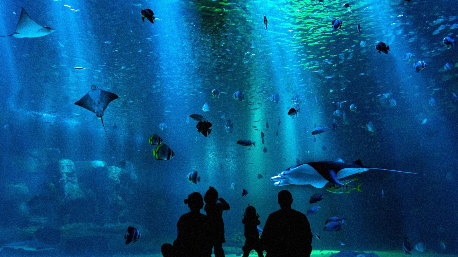 Aquarium de paris le 22 septembre 2026 fermeture de la