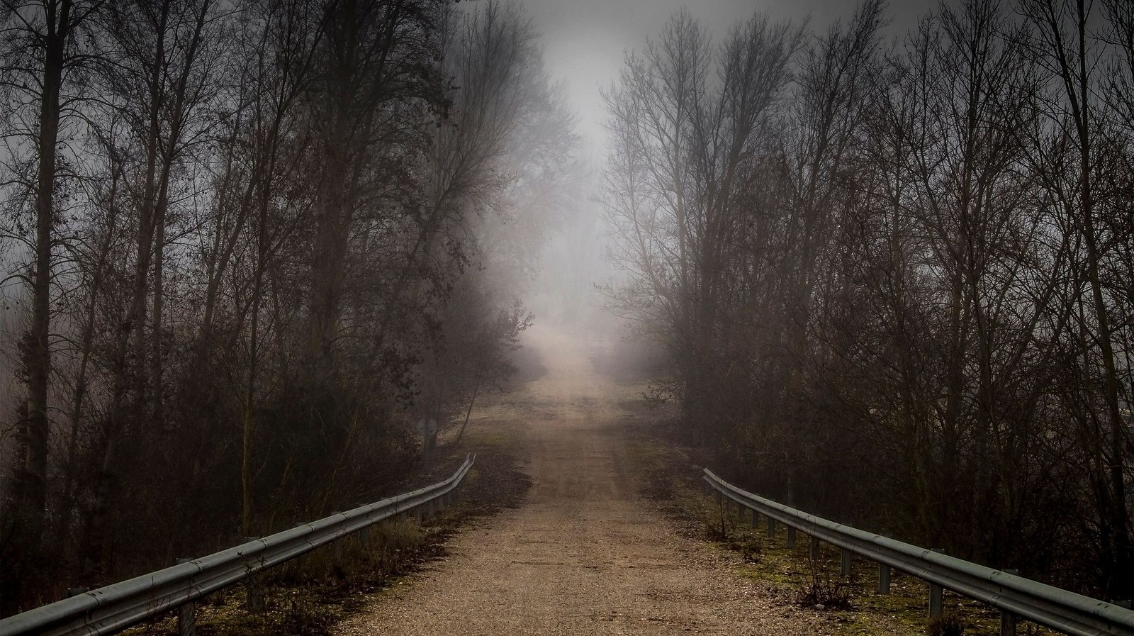 Chemin forestier dans la brume à la nuit tombée