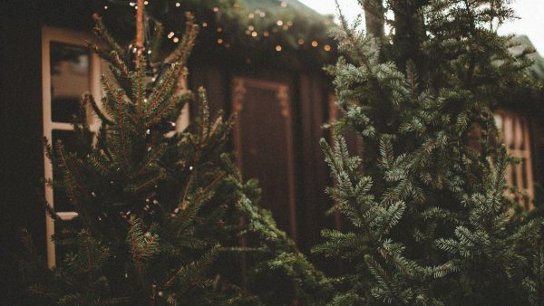 Le Mystère de Noël au Puy du Fou : dates, spectacles et tarifs pour réserver en 2026