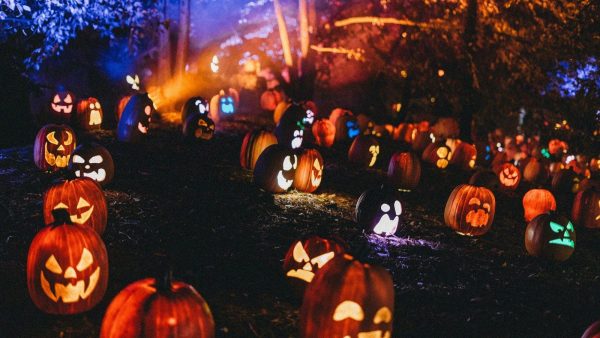 PortAventura World : billets Halloween à 24 € la journée avec le code SUSTO26