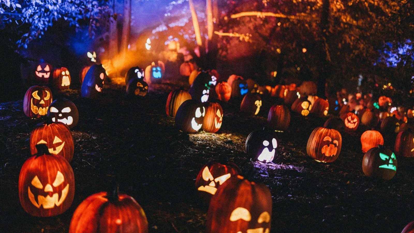 Portaventura world billets halloween a 24 la journee avec