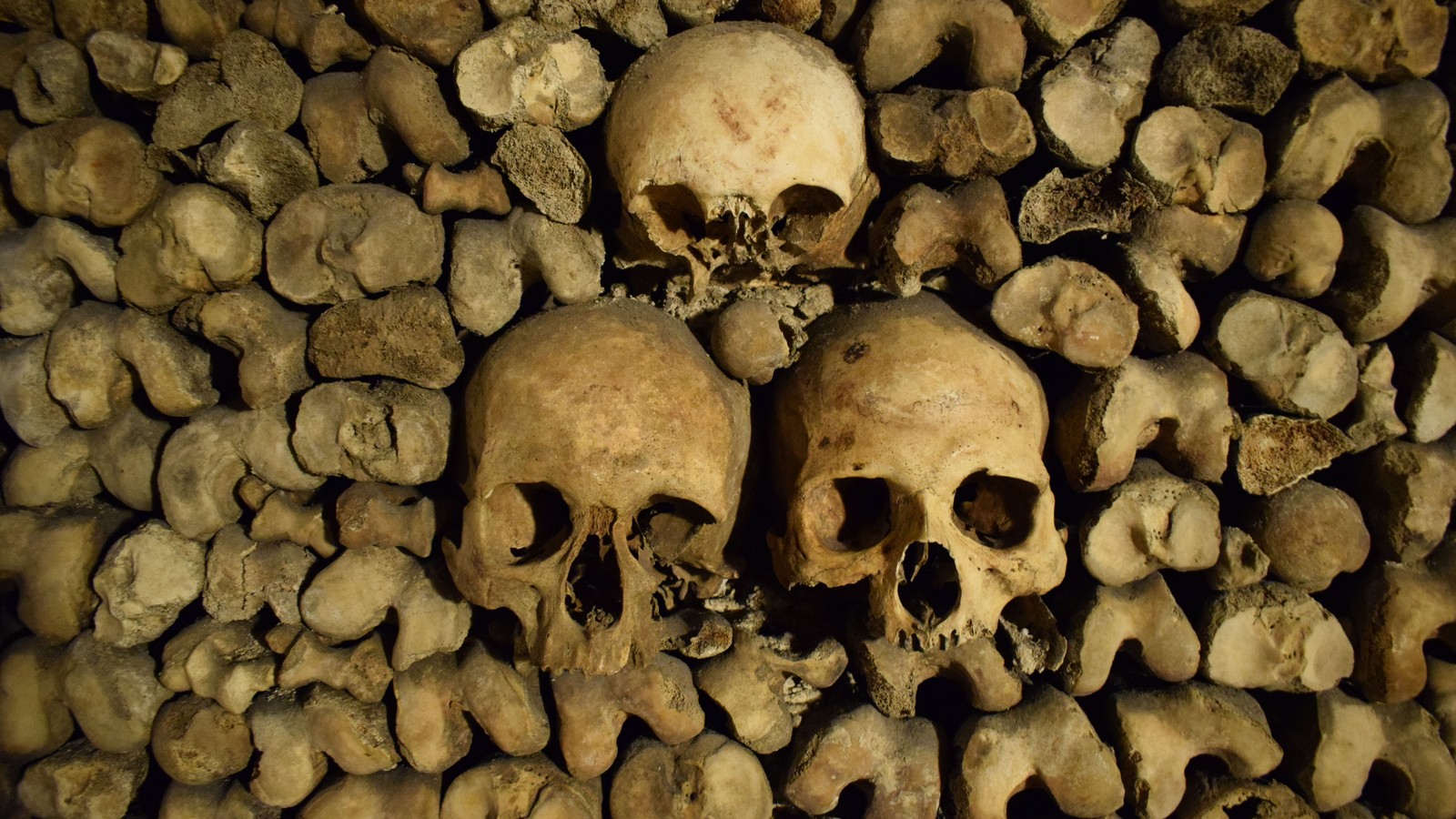 Catacombes de paris tarifs des billets regle des 7 jours et