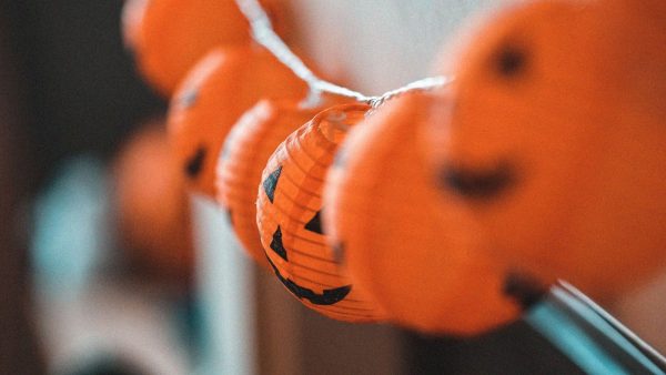 Journée Frissons au Parc zoologique de Paris pour Halloween : programme, réduction déguisement et conseils de visite