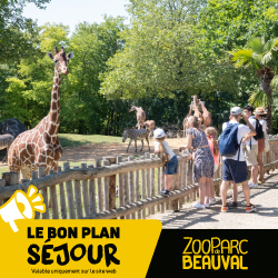 Zoo de Beauval - Offre été 2026