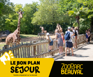 Zoo de Beauval - Offre été 2026