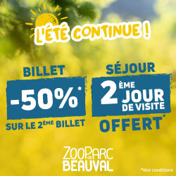 Zoo de Beauval - Offre Été Continue 2026